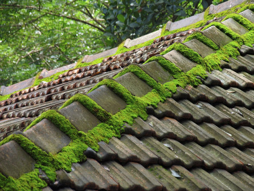 Démoussage de toiture à Savoillan